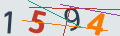 verifycode